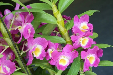 “父愛如山，大愛無聲”——保定理工學院藝術學院開展“恩重如山，感恩父親”主題感恩活動