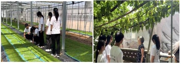 社會實踐（九）|鄉村振興，青春先行——保定理工學院教育學院暑期“三下鄉”社會實踐活動