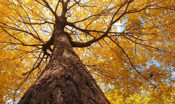 保定理工學院開展學生公寓供暖檢查工作