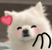 活動預告 | 新學期升旗儀式