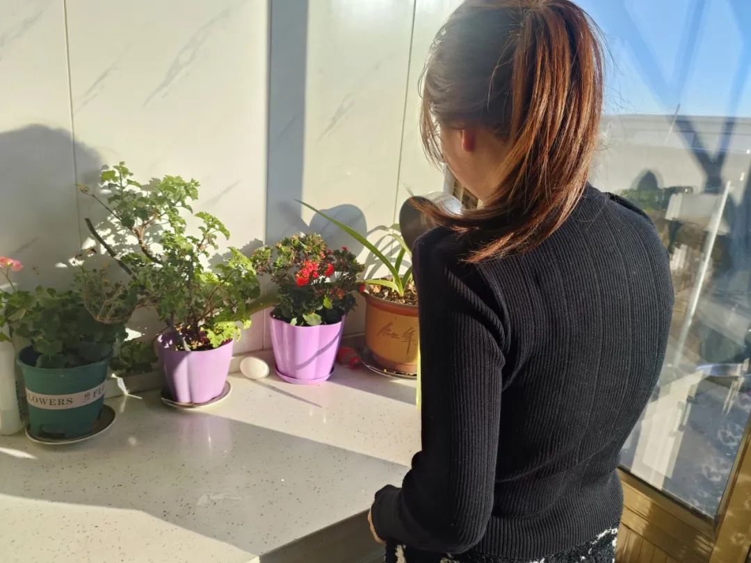 寸草春暉，情暖桑榆（六）