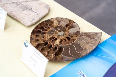 守護資源安全 智啟科學未來