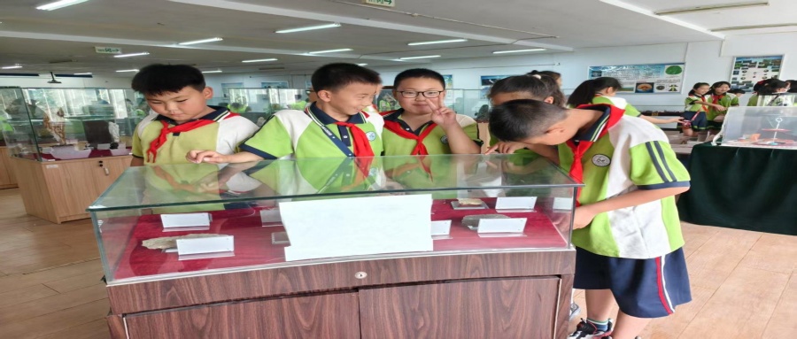 保定市蓮池區西馬池小學200名學生走進我校地質館開展新時代文明實踐活動