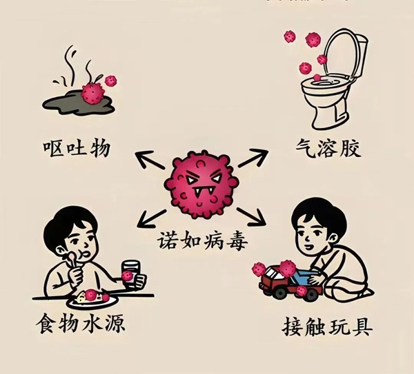 疾病防控|保定理工學院|管理學院|諾如病毒進入高發期，這份防護指南請收好！