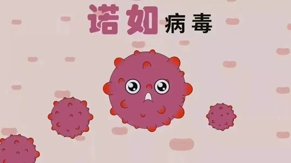 疾病防控|保定理工學院|管理學院|諾如病毒進入高發期，這份防護指南請收好！